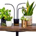 AeroGarden Trio Grow Light for Indoor Plants, Grow Live Plants Anywhere in The Home, Adjustable Light Modes, Black