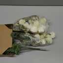 30 Pcs Faux Flowers Kiku White Included10 Small Mini Chrysanthemum and 20 Eucalyptus Stems Realistic Artificial Flowers Pom Pom Balls for Room Decor Floral Arrangements Centerpiece