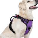 rabbitgoo Dog Harness for Large Dogs, No Pull Pet Harness with Soft Padded Handle, Adjustable Reflective Vest with 3 Buckles, Easy Walking Harness with 2 Leash Clips, Purple, L