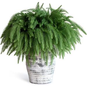 SENCID 12 Pcs Christmas Norfolk Pine Branches - 18" Artificial Norfolk Branch Faux Stem Greenery Pine Picks for Vase DIY Crafts Christmas Garland Wreath Making Home Decor