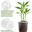 36 Pack 3.5/5/6/7 Inch Clear Nursery Pots with Drainage Holes, Transparent Plastic Planters for Plants, Reinforced Seed Starter Pots Flower Pots for Indoor and Outdoor Use