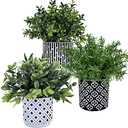 Winlyn 3-Pack Artificial Potted Plants - Faux Eucalyptus, Rosemary, Boxwood Greenery in Small Black & White Geometric Concrete Pots -Desk, Table, Shelf, Windowsill Decor for Indoor Outdoor Home Office