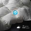 Royoliving Premium Feathers Down Duvet Insert Comforter Oversized King Size All Season Medium Warmth White 100% Cotton Cover with Corner Tabs (120x98, 77 oz)
