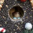 Seeded Birdhouse, Birdseeded Bird House, Wood Wren Bird Houses Covered with Wild Birdfood,Bird Feeders for Outside Hanging, A Frame Birdhouses
