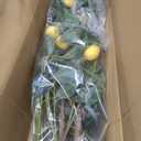 Jexine 2 Pack Artificial Lemon Tree 4 ft Tall Fake Plant Pre Potted Faux Lemon Tree Realistic Fruits for Indoor Home Decor Office Living Room