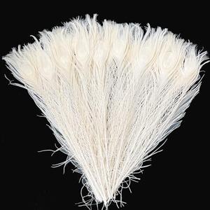 20PCS Long Peacock Feathers Off White 16-18 Inch Feather for Crafts Tall Vases Home Decor Wedding Centerpieces Decorations Christmas Tree Ornament Flower Arrangement