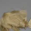 Aimole Short Yaki Straight Synthetic Wigs Blonde Mushroom Head Wig Bowl haircut Wigs Bob (#613)