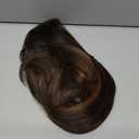 GORGIUS Highlight Lace Front Wig Pre Plucked Glueless Black and Brown Straight Layered Wig Upgraded with Premium Synthetic Fiber 22 Inch