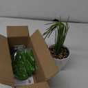 Der Rose 28" Fake Plants Large Artificial Monstera Faux Plants Indoor with White Pot for Home Office Living Room Decor
