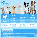 Disposable Male Dog Diapers, XS-26 Count SuperAbsorbent Male Wraps, Soft Cotton, Stereoscopic Edge Fit for Incontinence Dog Nappies, Potty Training, Travel, and Post-Surgical Care