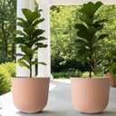 Worth Garden Round Large Planter Pot Set of 2, 17.5" Dia x 15.5" H - Durable Plastic Terracotta Plant Tree Pots with Vertical Stripe Textured Finish, Drainage Hole for Indoor Outdoor Front Porch Patio, 2-Pack