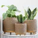 JHY DESIGN Set of 3 Plant Pots 10/8.5/7''H Metal Decoration Flower Pots with Hollow Design Large planters for Indoor & Outdoor Garden Home Balcony Railing Fence Plants(Gold)