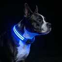 PetIsay Dog Light up Collar for Night Walking - High Visibility LED Dog Collar - Rechargeable - Waterproof - Reflective - Adjustable Lighted Glow Collars(Blue, Medium) (14" - 19")
