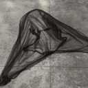 Black Mosquito Net Tent for Bed or Plant，Protecting Plant,One Side Opening Canopy Netting Curtain Net for Bedroom Decoration Twin Size（Without Frame）