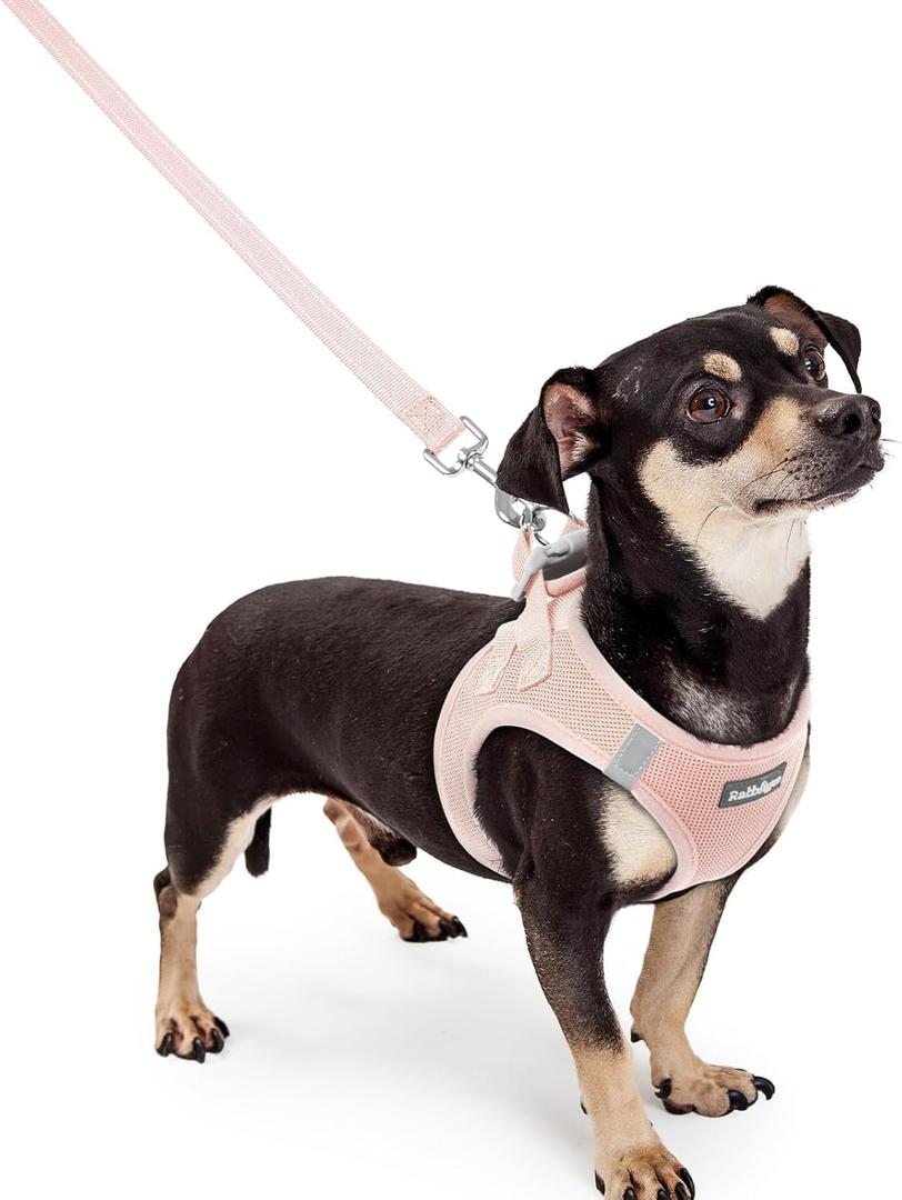 rabbitgoo Dog Harness Small Sized and Leash Set, Step in Soft Light Puppy Vest, Breathable Mesh Pet Harness, Reflective for Outdoor Safe Walking, Pink (XXXS (Chest: 10.8 - 11.8"))