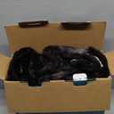 HYLEORY Electric Heated Throw Blanket - Soft Thick Faux Fur Heating Blanket with 5 Heat Levels & Auto-Off 3 Hrs, Fluffy Flannel Warm Christmas Blankets for Winter Bed,ETL Certification, Black