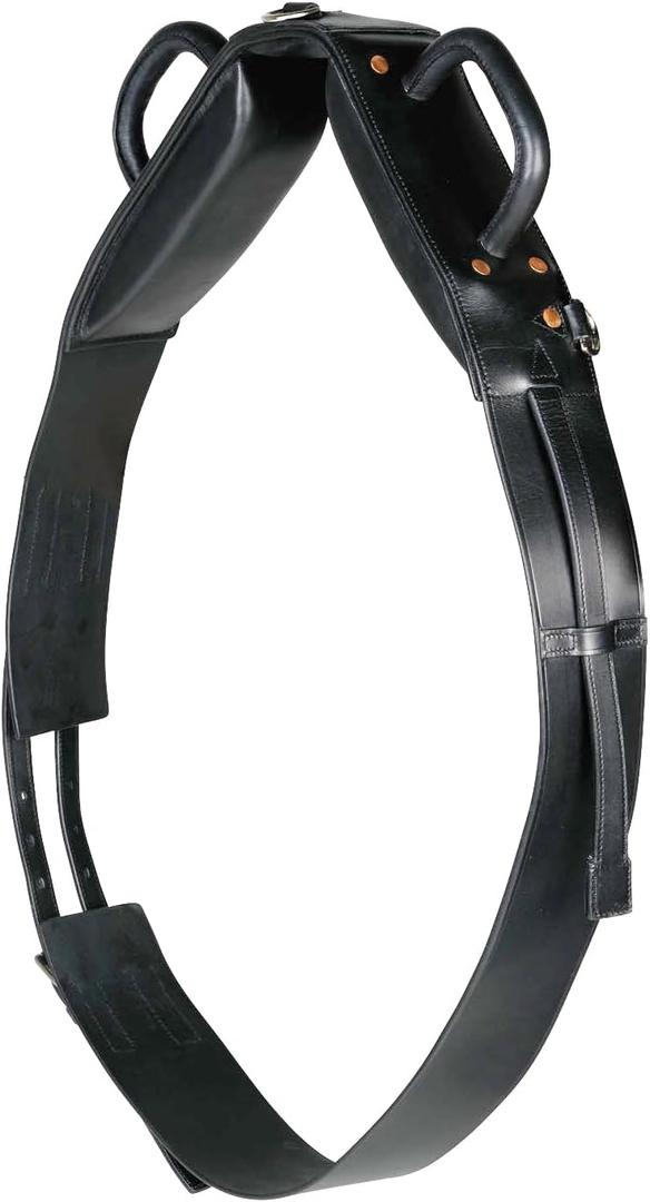 HORZE Vaulting Surcingle, One Size