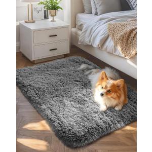 Ophanie Small Area Rug Throw Non Slip Rugs for Bedroom, Mini Fluffy Grey Carpet, Affordable Door Entryway Indoor Inside Front Entrance Dog 2x3 Mat, Home Decor Aesthetic, Nursery
