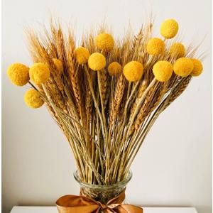 100pcs Dried Wheat Grass Decor & 15 Stems Yellow Billy Balls Buttons, Dried Flowers Bouquet, Fall Flowers Decoration, Wheat Stalks Bundles, Corn Stalks Wheat Decor Autumn Floral