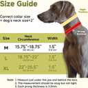 Mayerzon Martingale No Pull Collar for Large Medium Dogs, Patented Dog Walking Training Collar for Pulling, 1.5'' Wide Alloy Buckle, Neoprene Padded, Adjustable, Reflective, Easy to Use (Black, M)