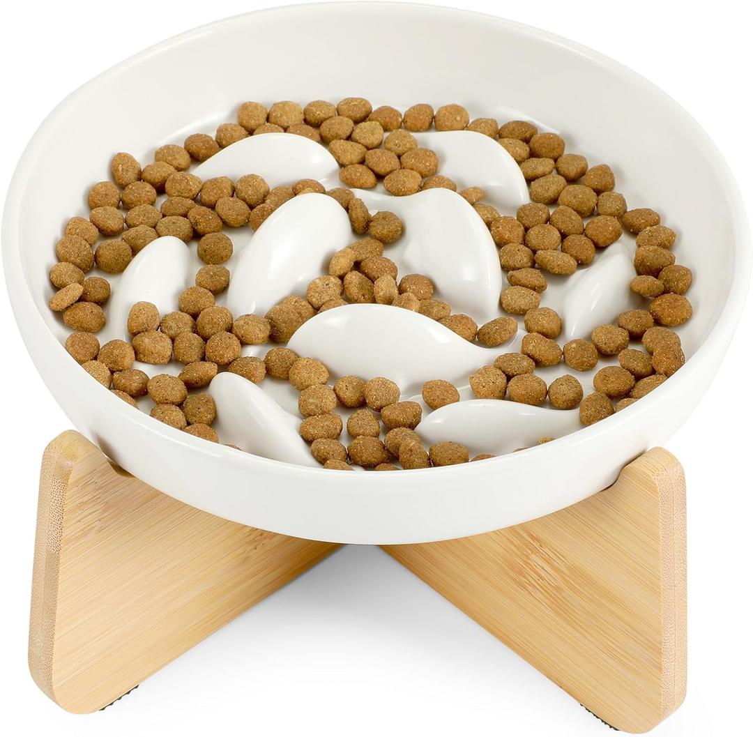 PETTOM Slow Feeder Cat Bowl with Stand, Ceramic Slow Eating Cat Bowl with Higher Edges Fish Pool Design Elevated Food Bowls for Dry and Wet Food Anti-Vomiting Puzzle Feeder for Healthy Eating Diet (White)