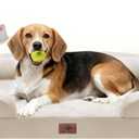 Orthopedic Dog Beds for Large Medium Dogs, Big Waterproof Memory Foam Pet Couch Bed with Removable Washable Cover, Tennis Ball Toy, 36x27