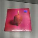 Pink Elephant by Arcade Fire