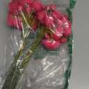 ASTRYAS Ranunculus Artificial Flower, 18Pcs Hot Pink Faux Silk Mini Ranunculus Flowers for DIY Bouquet, Bulk Fake Wedding Filler Flowers for Centerpiece Table Wedding Bridal Party Home Decor Cake