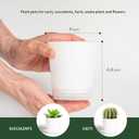 4 Inch 5 Pack Small Self Watering Pots for Indoor Plants, Nursery Pot with Drainage Holes and Saucers, Plastic Small Flower Planter for Succulent, Aloe, Cacti and More (White)