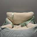 BurgeonNest Dog Car Seat for Small Dogs, Detachable and Washable Cat Carseats Under 25 lbs, Soft Pet Booster Seats with Storage Pockets and Clip-On Leash Portable Car Travel Carrier Bed, Beige Green