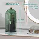 GAXmi Makeup Brush Holder with Lid Cosmetic Tools Organizer 360 Rotating Waterproof Dustproof Beauty Brushes Storage for Vanity, All Green | with Lid, 360 Rotating, Waterproof, Dustproof, for Vanity