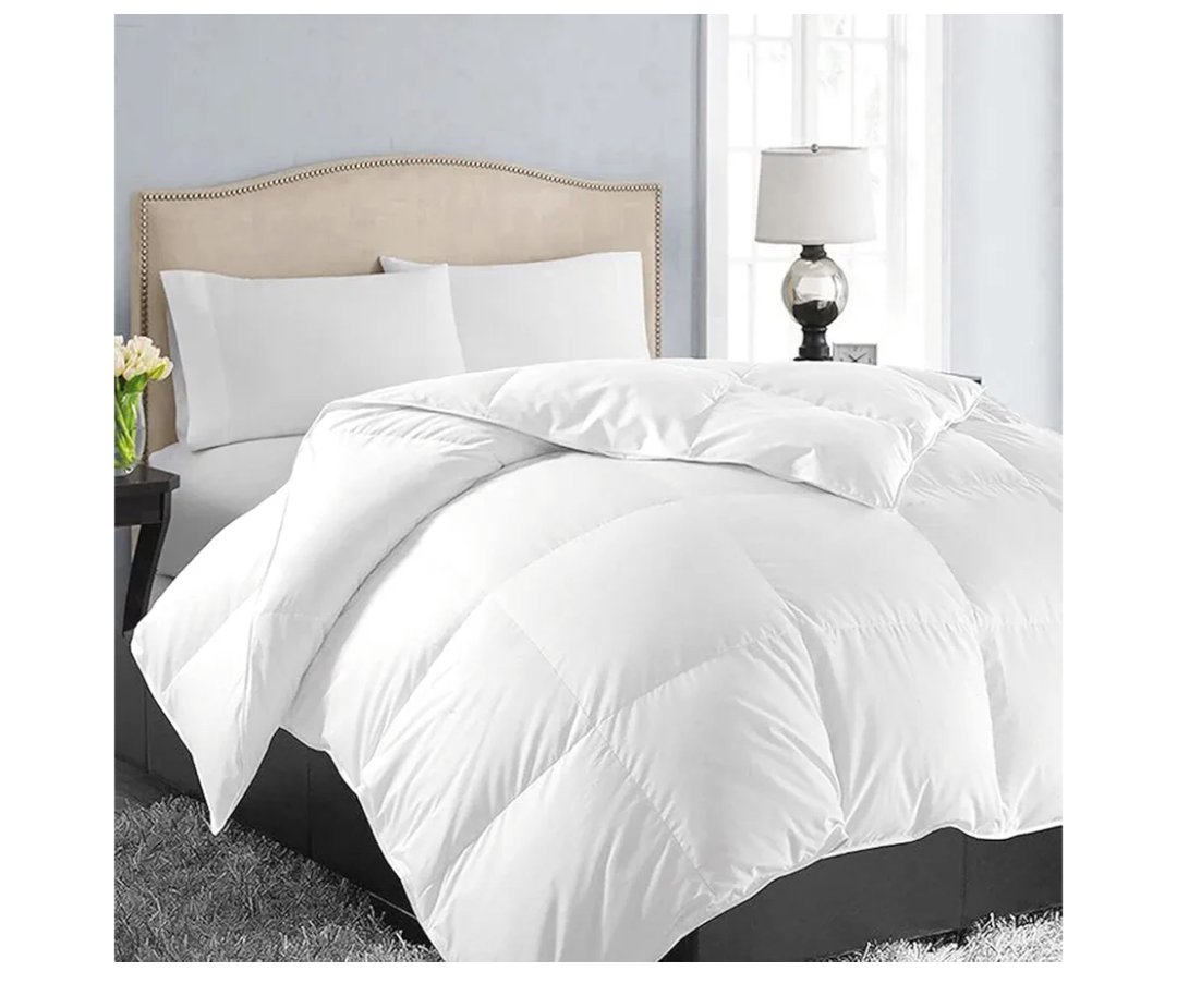 EASELAND All Season Queen Size Soft Quilted Down Alternative Comforter Reversible Duvet Insert with Corner Tabs,Winter Summer Warm Fluffy,White,88x88 inches