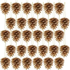 Winlyn 30 Pcs Christmas Pinecones Ornaments Gold Pine Cones Hanging with String Natural Pinecones Christmas Tree Decorations for Christmas Wedding Holiday Party DIY Crafts Wreath Garland Centerpiece