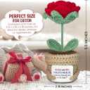 2 x Friendship Gifts for Women - Best Friend Birthday Gifts for Women - Handmade Crochet Roses, I Wish You Lived Next Door