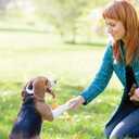 Ultimate Guide to Dog Training: Puppy Training to Advanced Techniques plus 25 Problem Behaviors Solved! (CompanionHouse Books) Manners, Housetraining, Tricks, and More, with Positive Reinforcement