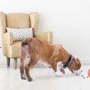 Omega Paw Authentic Tricky Treat Ball - Medium,Orange (Medium (3.5"))