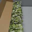 ZYTUYO 5 Pcs Silk Green Hydrangea Artificial Flowers - 20'' Faux Hydrangeas for Spring Indoor/Outdoor Home Decor & Wedding Arrangement