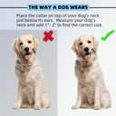 Safiman Prong Training Collar for Dogs, Adjustable Dog Pinch Collar with Quick Release Buckle, No Pull Collar for Small Medium Large Dogs, Extra Link and Caps (XL(23-26"" Neck, 4.0mm)), argent