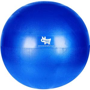 Race&Herd 30" Inner Tube for Herding Ball for Dogs Large - Replacement Herd Balls for Dogs Toys Bladder, Inflatable Liner Herding Ball for Australian Shepherd, Hearding Balls Inner Shell Only