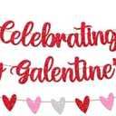 Ladies Celebrating Ladies Happy Galentine's Day Banner Galentines Day Decorations Will You Be My Galentine Backdrop Valentine's Day Gal Pals Party Red Glitter Decor Pre-Strung