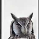 27x40 Metal Picture Frame with 24x36 Mat, Brushed Aluminum Finish, Tempered Glass Front, and Attached Hanging Hardware - Versatile Wall Display Frames for Vertical or Horizontal Orientation(Black,