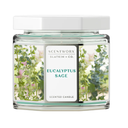 SCENTWORX TROPICAL BREEZE 3-WICK CANDLE
14.5 oz