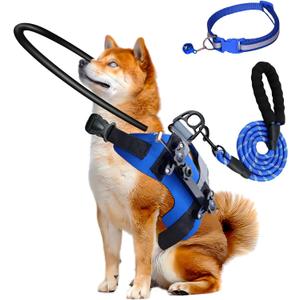 Blind Dog Halo Harness,Adjustable Halo Dog Collar with 5 FT Dog Leash & Reflective Collar,Bumper Halo for Protective & Build Confidence,Blind Dogs Accessories (M:Recommand Weight 23-40 lbs)