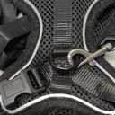 Halypet Cat Harness and Leash Set [ MAX Safety Third Generation ] Escape Proof Soft Adjustable Cat Leash Breathable Comfortable Vest Easy to Wear Kitten Harness for Outdoor Walking Black (Medium (13-18lb))