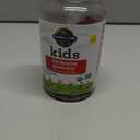 Garden of Life Kids Immune Support Gummies with Vitamin C, D as D3 & Zinc for 3-in-1 Daily Childrens Immunity Organic, Non-GMO, Gluten-Free, Vegetarian, Sugar Free, Cherry Flavor, 30 Day Supply