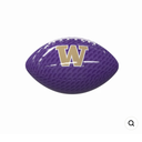 Washington Carbon Fiber Mini Glossy Football