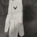 Callaway Men's Tour Authentic™ Glove, Right Hand, Size: M/L