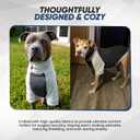 Tooth & Honey Dog Shirt for Large Dogs Breathable Cotton & Spandex Pullover with Full Underbelly Coverage for Allergy Relief & Sun Protection (Large, Grey Dog Shirt)