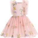 Girls Birthday Party Dress Ruffle Sleeve Sequin Dots Floral Tulle Princess Wedding Pageant Formal Bance Gown (2-3T)