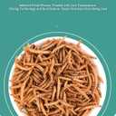Reptile Food Dried Mealworms Pet Worms Food for Bearded Dragon, Lizard, Turtles, Chameleon, Monitor, Frog, Sugar Glider, Chickens, Birds, Hamsters and Hedgehogs (3.5 OZ)